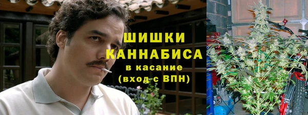 винт Арсеньев