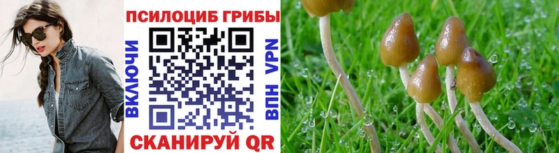 Галлюциногенные грибы ЛСД  ссылка на мегу ССЫЛКА  Гаджиево 